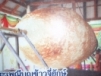บุญข้าวจี่ยักษ์