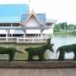 เทศบาลตำบลดงป่าคำ