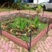บ่อน้ำโบราณโรงเรียนสตรีระนอง
