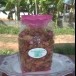 กล้วยเบรกแตกแม่สมบัติ 