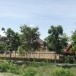 ประวัติตำบลบางวัว