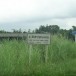 ชื่อบ้านนามเมืองบ้านสันทรายกองงาม