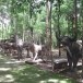 วัดสันธาตุ