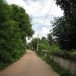 ประวัติหมู่บ้าน บ้านต้นสำโรง    