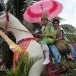 งานประเพณีบุญบั้งไฟเทศบาลตำบลโนนฆ้อง