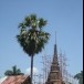 วัดกระดังงาบุปผาราม