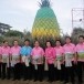 ประเพณีวันสับปะรดหวานอำเภอบ้านคา