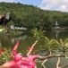 สวนนกชัยนาท