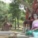 ตำนานเขานางสางหัว