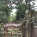 ตำนานเขานางสางหัว