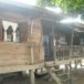 บ้านโบราณ(บ้าน 15 ค่ำ เดือน 11)