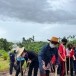 การหนำข้าว (การปลูกข้าวไร่)