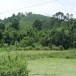 บ้านตะโหนด