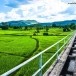 สะพานส่งน้ำลอยฟ้า