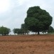 ประวัติหมู่บ้านเขายายเที่ยงใต้