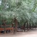 วัดโนนป่าว่าน