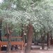 วัดโนนป่าว่าน