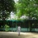 วัดโนนป่าว่าน