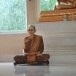 วัดโนนป่าว่าน