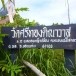 ประวัติบ้านหนองหญ้าปล้อง