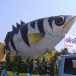งานมหกรรมเทศกาลปลาลุ่มน้ำสงคราม