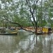 อุทยานแห่งชาติหมู่เกาะระนอง