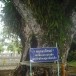 วัดวิหารคงคาราม