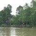 ประวัติบ้านเกาะลัด