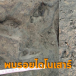รอยเท้าไดโนเสาร์ แก่งกะลังกะลาด