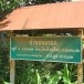 ประวัติบ้านหนองแก