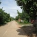 ประวัติบ้านหนองแก