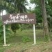 วัดน้ำผุด