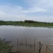 หนองฮาก