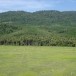 องค์การบริหารส่วนตำบลปะลุกาสาเมาะ