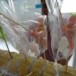 ขนมน้ำตาลปั้นโบราณ