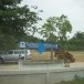 ประวัติบ้านหนองหญ้ารังกา