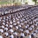 โรงเรียนชำนาญสามัคคีวิทยา