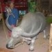 โฮงมูนมังเมืองขอนแก่น