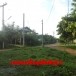 ประวัติบ้านกุดเชียงมีหมู่ 15 