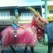 ประเพณีวิ่งควายอำเภอวังจันทร์