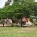 วัดไทรงาม