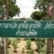 วัดไทรงาม