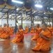 ศูนย์พัฒนาศาสนาแคมป์สน อำเภอเขาค้อ จังหวัดเพชรบูรณ์