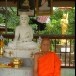 พระครูภัทร สิริธรรม 