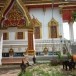 วัดพานิช ตำบลบางปลากด อำเภอป่าโมก