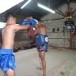 ค่ายมวยวังหมื่นห้าดาว