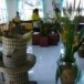 โรงเรียนบ้านตรอกสะเดา