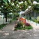 โรงเรียนเทศบาล ๑ วัดนางวัง