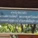 วิหารแฝด  วัดบวกค้าง สันกำแพง