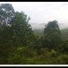 บ้านลีนานนท์